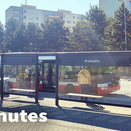 King Size Sunny 19 Minutes To Center Apartment